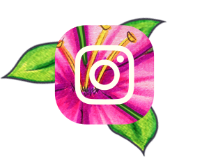 Jungle Instagram button
